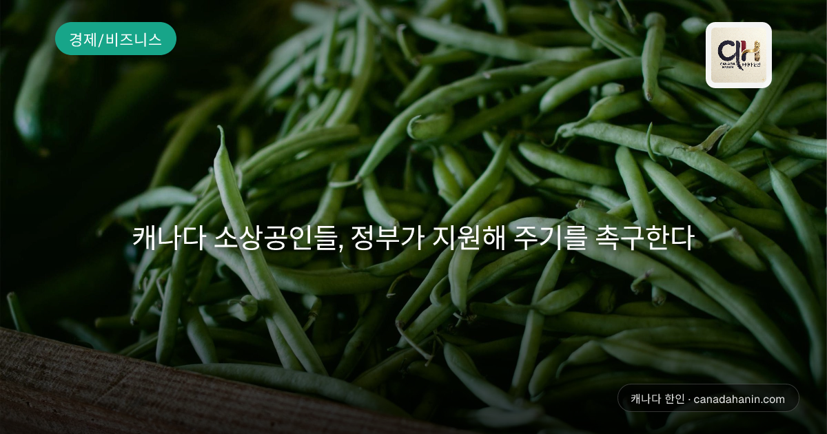 캐나다 소상공인들, 정부가 지원해 주기를 촉구한다