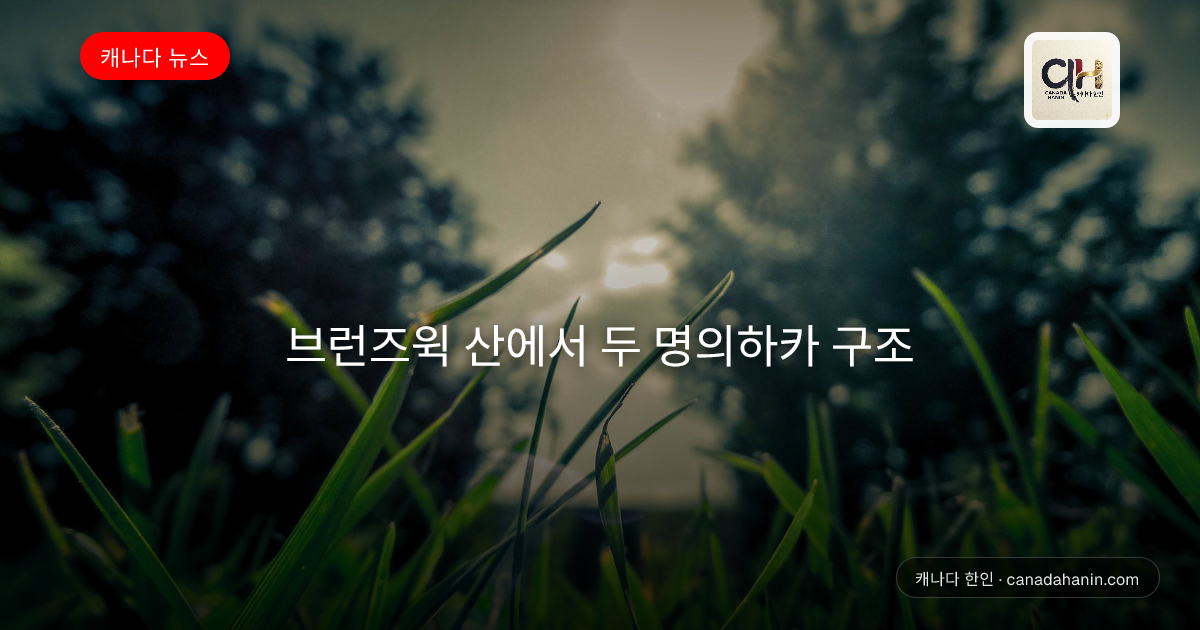 브런즈윅 산에서 두 명의하카 구조