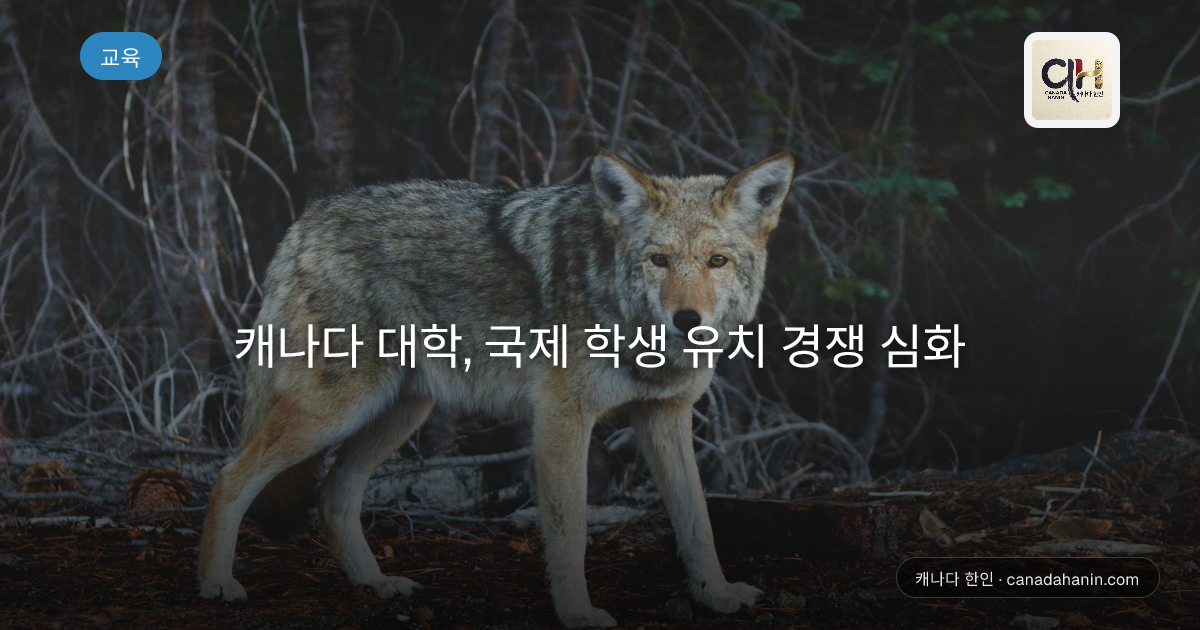 캐나다 대학, 국제 학생 유치 경쟁 심화