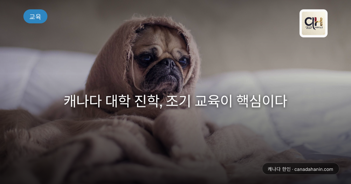 캐나다 대학 진학, 조기 교육이 핵심이다