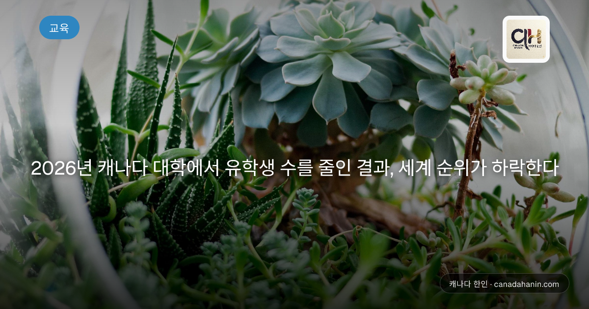 2026년 캐나다 대학에서 유학생 수를 줄인 결과, 세계 순위가 하락한다