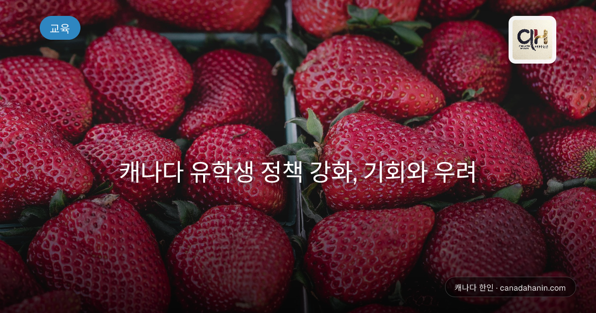 캐나다 유학생 정책 강화, 기회와 우려