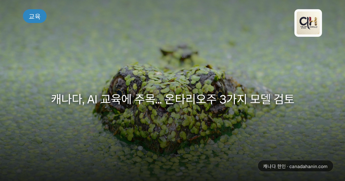 캐나다, AI 교육에 주목... 온타리오주 3가지 모델 검토