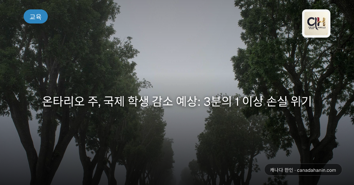 온타리오 주, 국제 학생 감소 예상: 3분의 1 이상 손실 위기