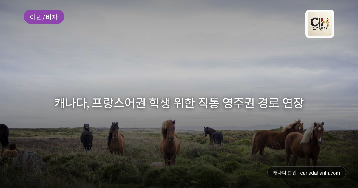 캐나다, 프랑스어권 학생 위한 직통 영주권 경로 연장