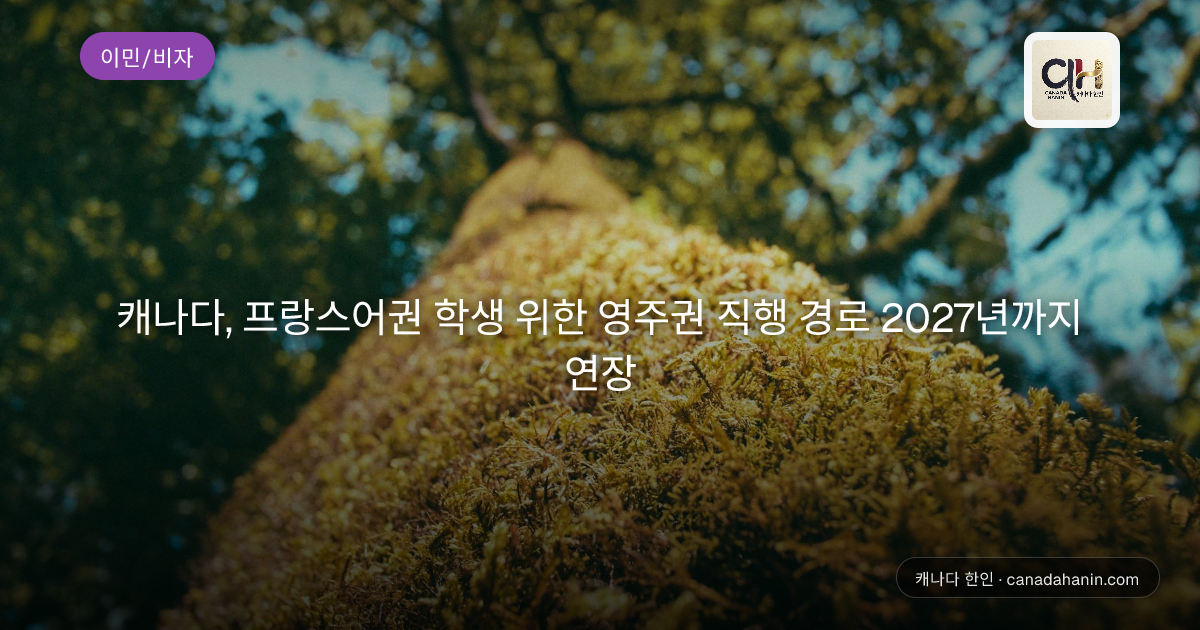 캐나다, 프랑스어권 학생 위한 영주권 직행 경로 2027년까지 연장