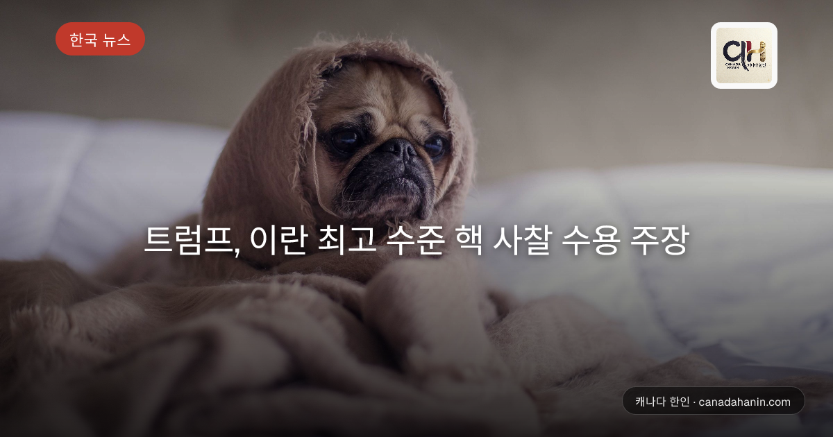 트럼프, 이란 최고 수준 핵 사찰 수용 주장