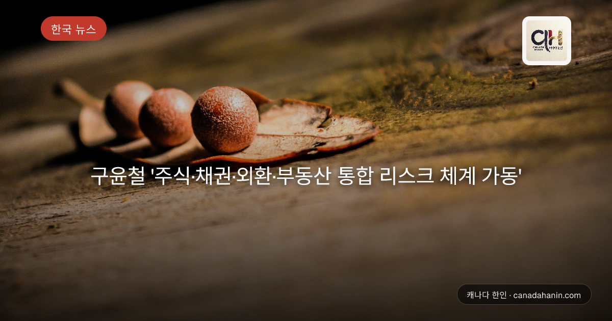 구윤철 '주식·채권·외환·부동산 통합 리스크 체계 가동'