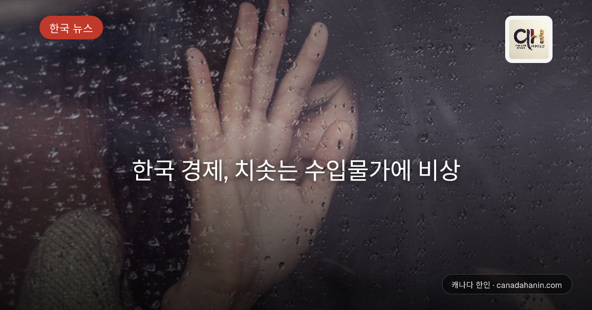 한국 경제, 치솟는 수입물가에 비상