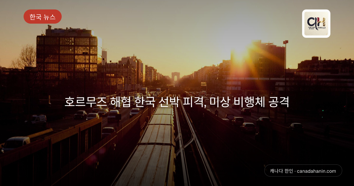 호르무즈 해협 한국 선박 피격, 미상 비행체 공격