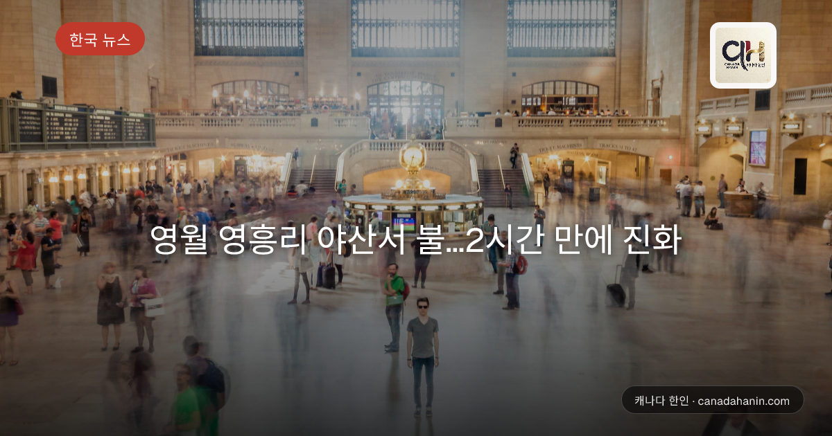 영월 영흥리 야산서 불...2시간 만에 진화