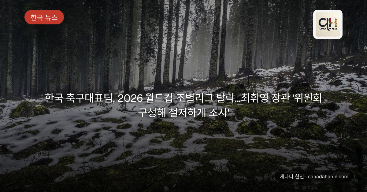 한국 축구대표팀, 2026 월드컵 조별리그 탈락…최휘영 장관 '위원회 구성해 철저하게 조사'