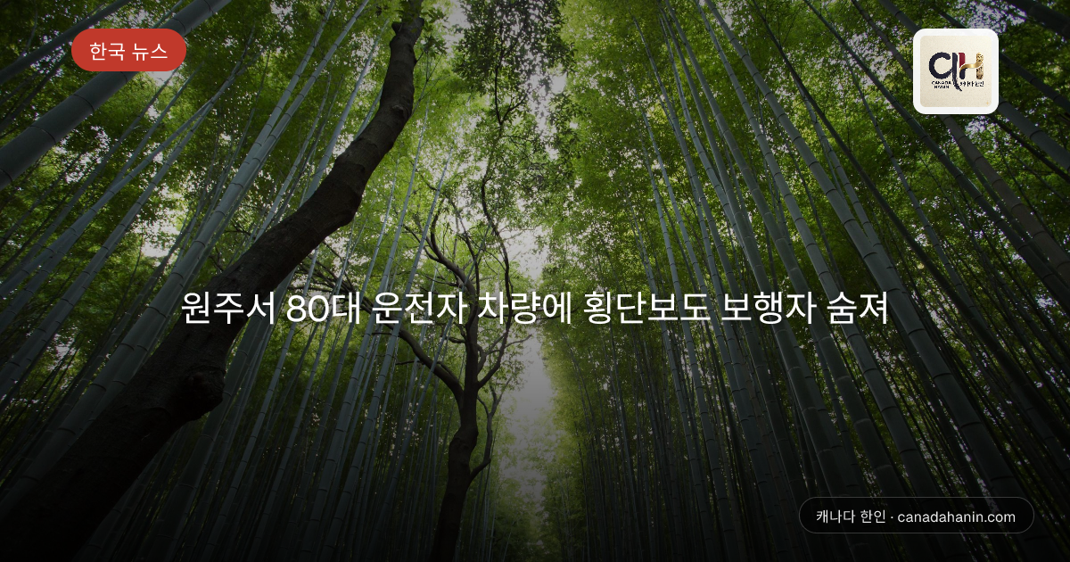 원주서 80대 운전자 차량에 횡단보도 보행자 숨져