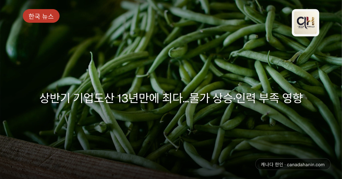 상반기 기업도산 13년만에 최다…물가 상승·인력 부족 영향