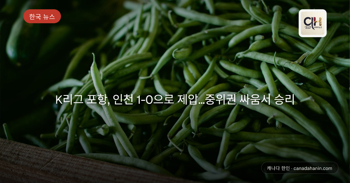 K리그 포항, 인천 1-0으로 제압…중위권 싸움서 승리