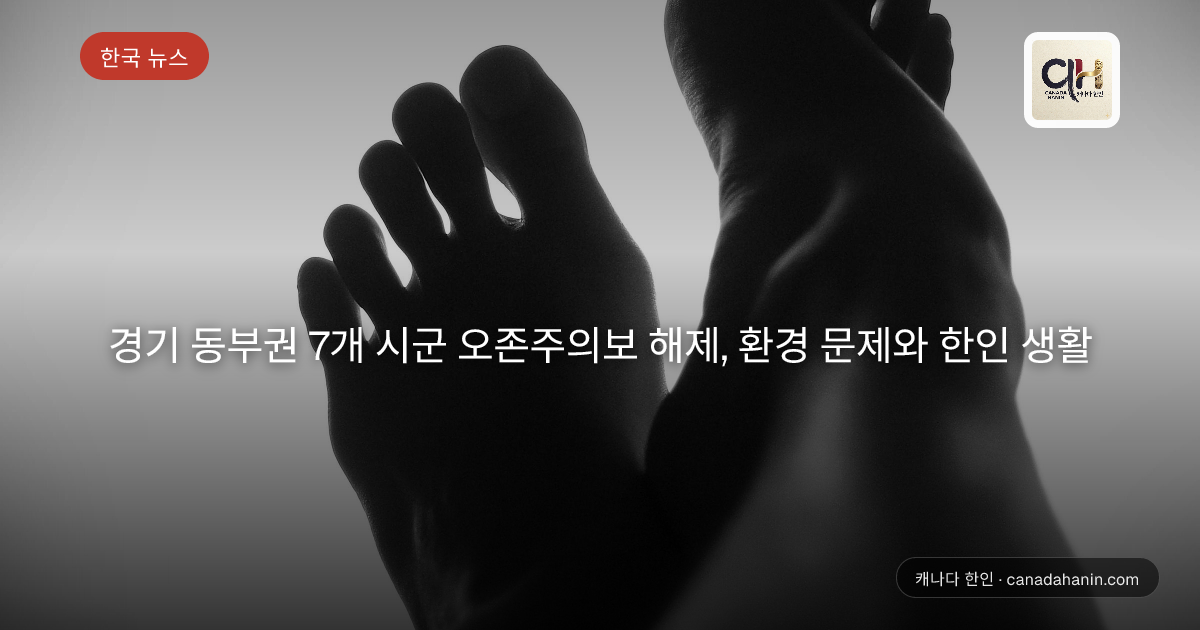 경기 동부권 7개 시군 오존주의보 해제, 환경 문제와 한인 생활