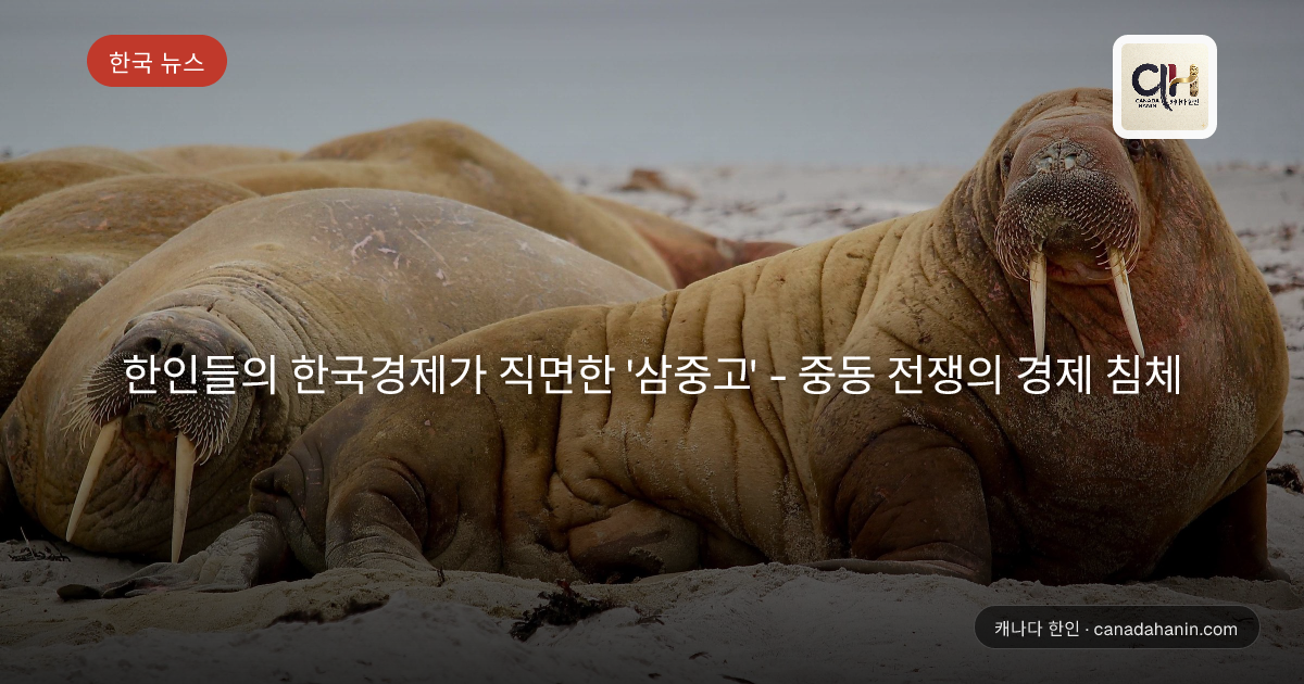 한인들의 한국경제가 직면한 '삼중고' - 중동 전쟁의 경제 침체