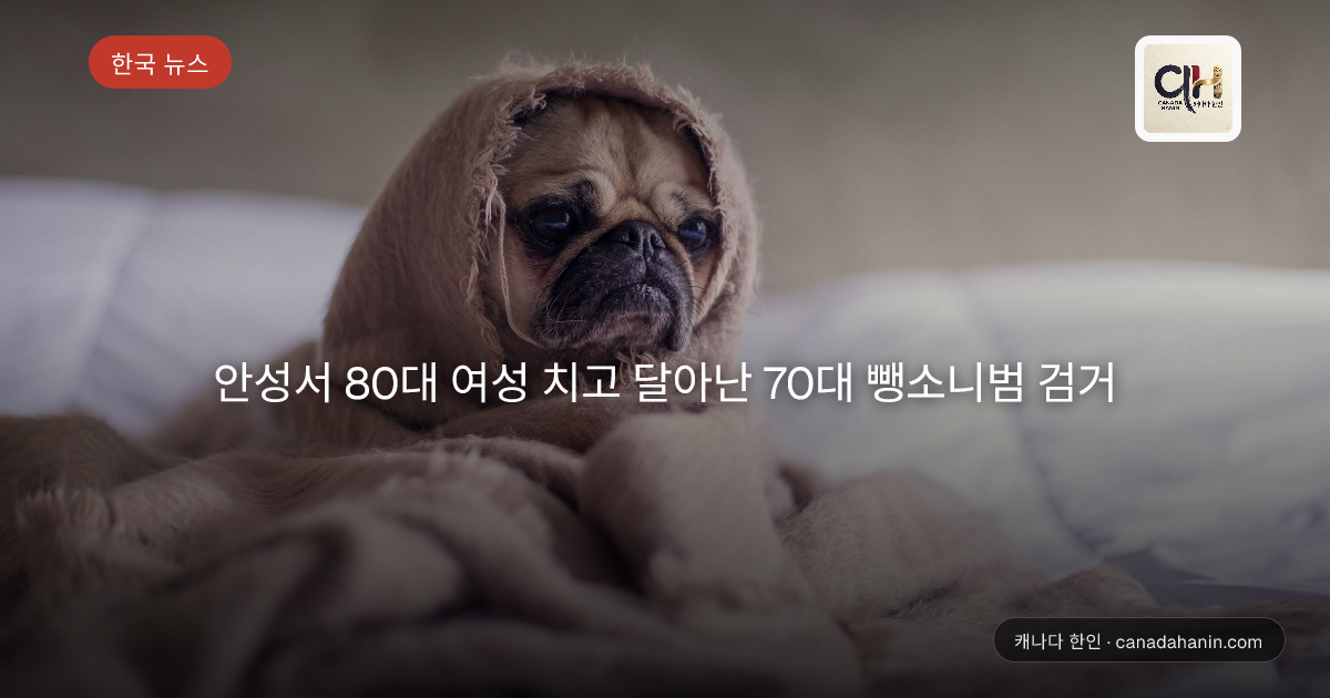 안성서 80대 여성 치고 달아난 70대 뺑소니범 검거