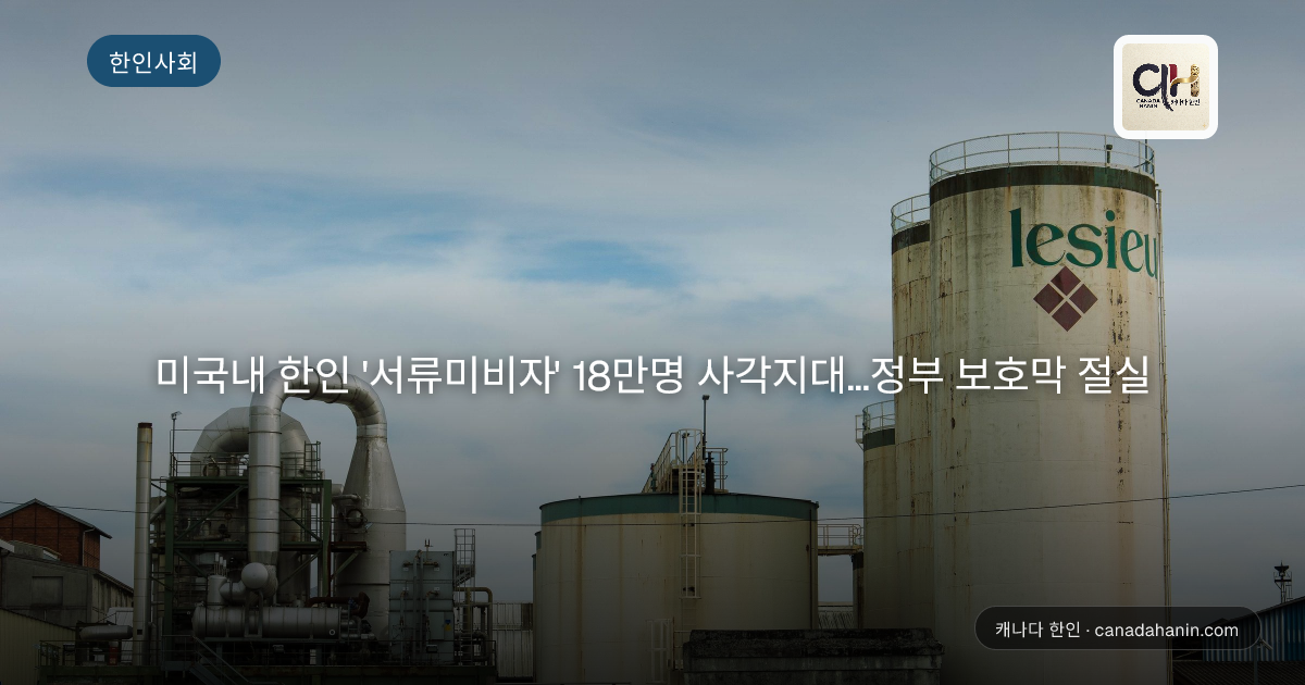 미국내 한인 '서류미비자' 18만명 사각지대…정부 보호막 절실