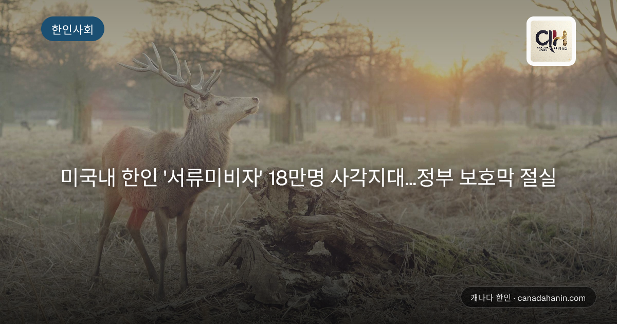 미국내 한인 '서류미비자' 18만명 사각지대…정부 보호막 절실