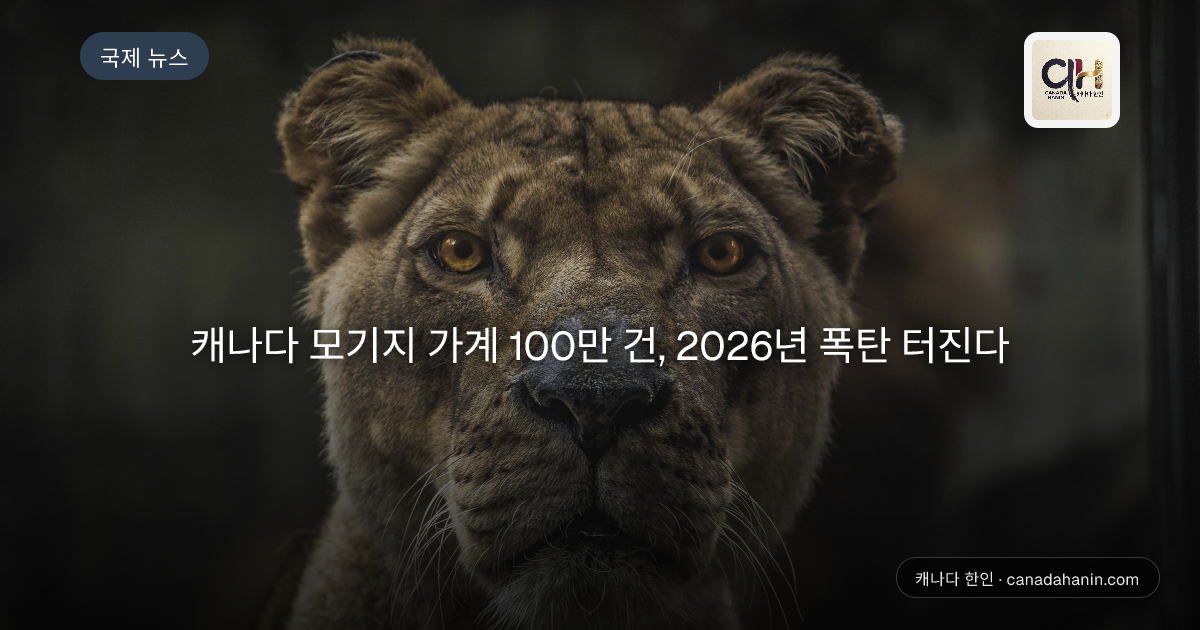 캐나다 모기지 가계 100만 건, 2026년 폭탄 터진다