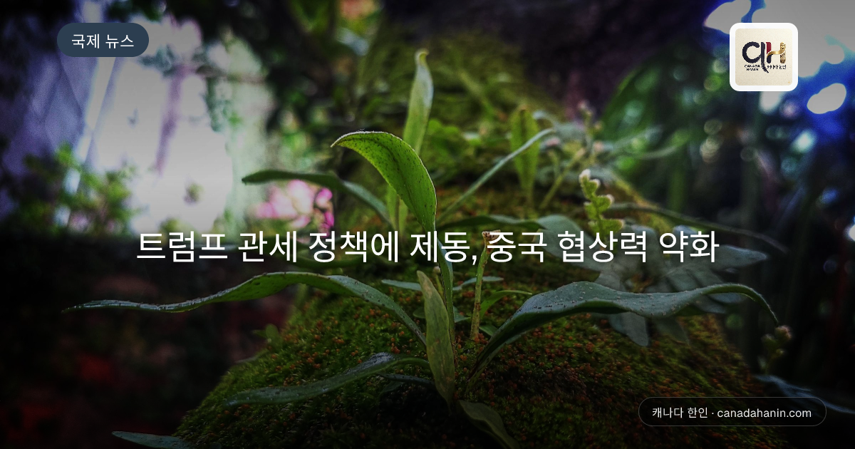 트럼프 관세 정책에 제동, 중국 협상력 약화