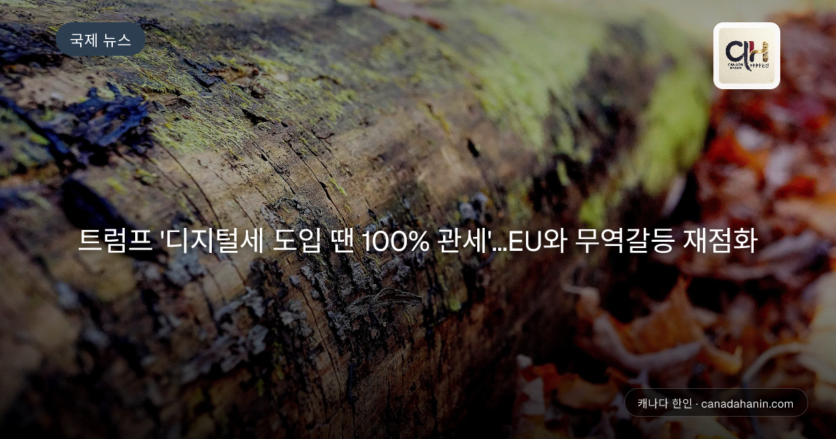 트럼프 '디지털세 도입 땐 100% 관세'…EU와 무역갈등 재점화