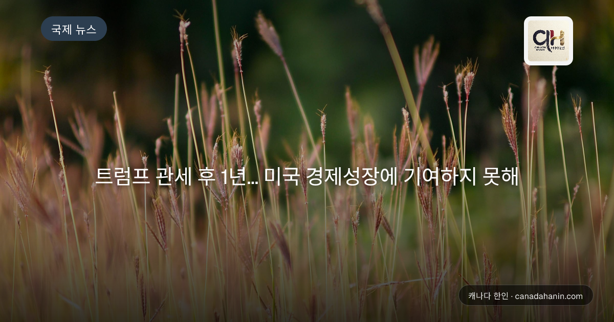 트럼프 관세 후 1년... 미국 경제성장에 기여하지 못해