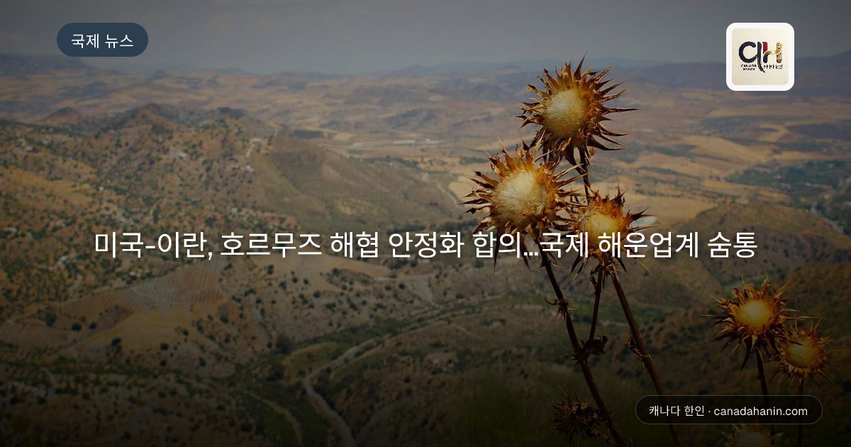 미국-이란, 호르무즈 해협 안정화 합의…국제 해운업계 숨통