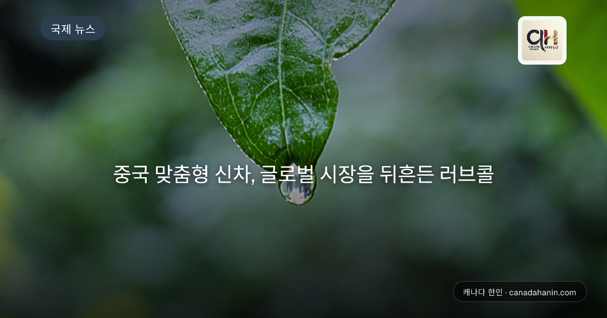 중국 맞춤형 신차, 글로벌 시장을 뒤흔든 러브콜