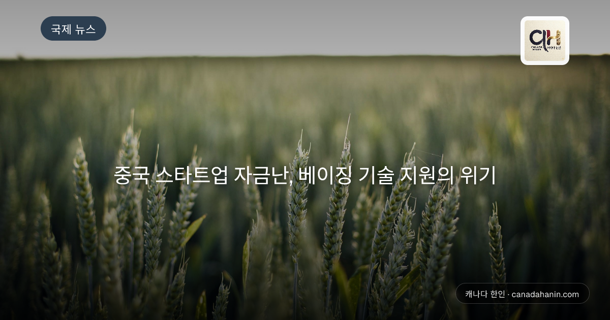 중국 스타트업 자금난, 베이징 기술 지원의 위기