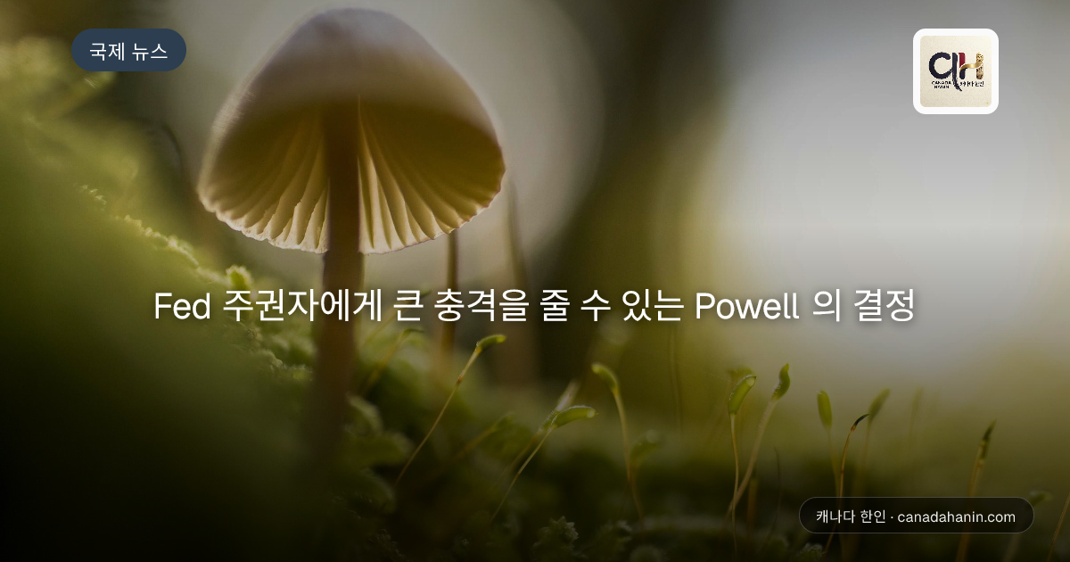 Fed 주권자에게 큰 충격을 줄 수 있는 Powell 의 결정