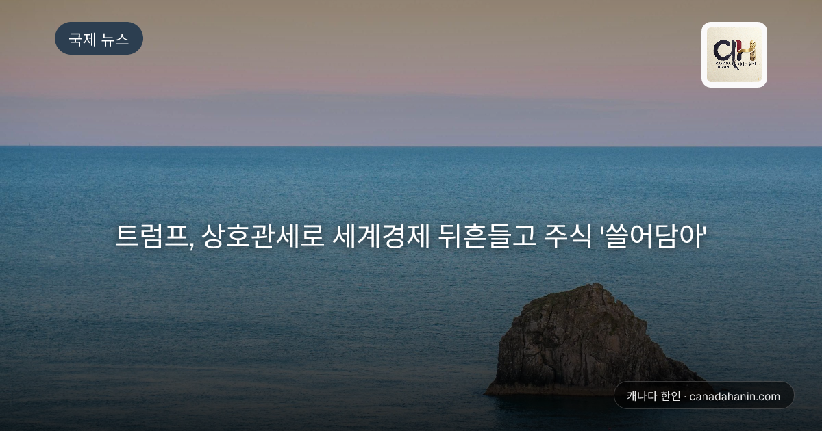 트럼프, 상호관세로 세계경제 뒤흔들고 주식 '쓸어담아'